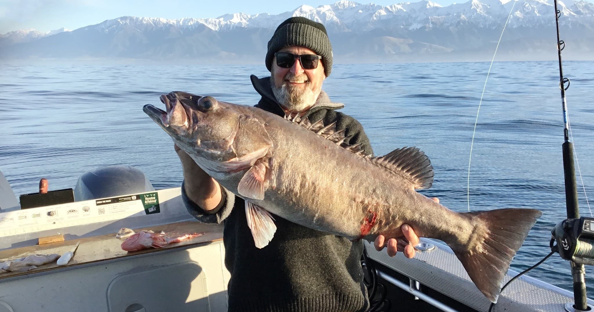 Fishing Adventures with South Bay Fishing Charters in Kaikōura