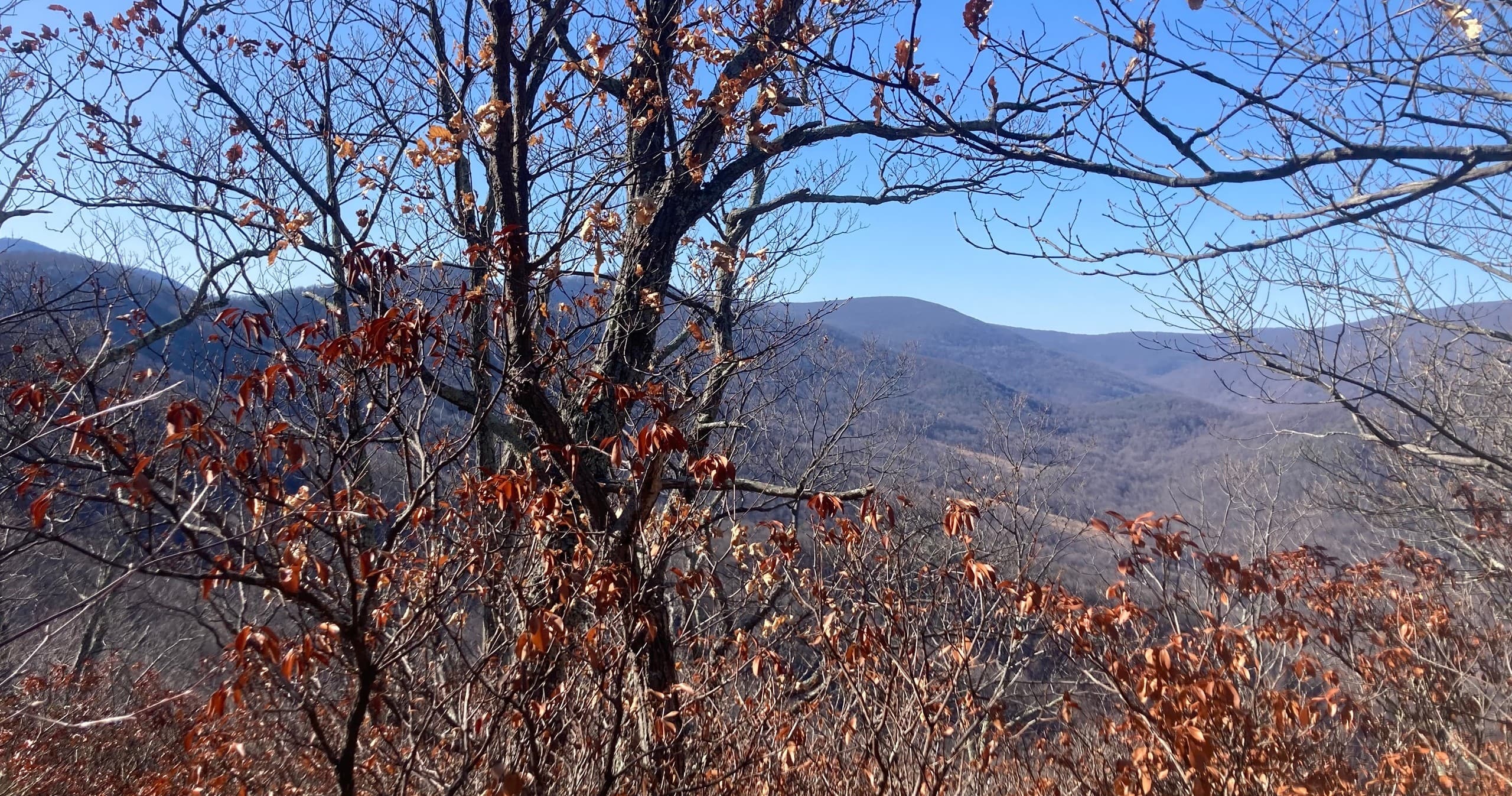 Big Doubletop Circle Hike: Explore Virginia’s Scenic Trails