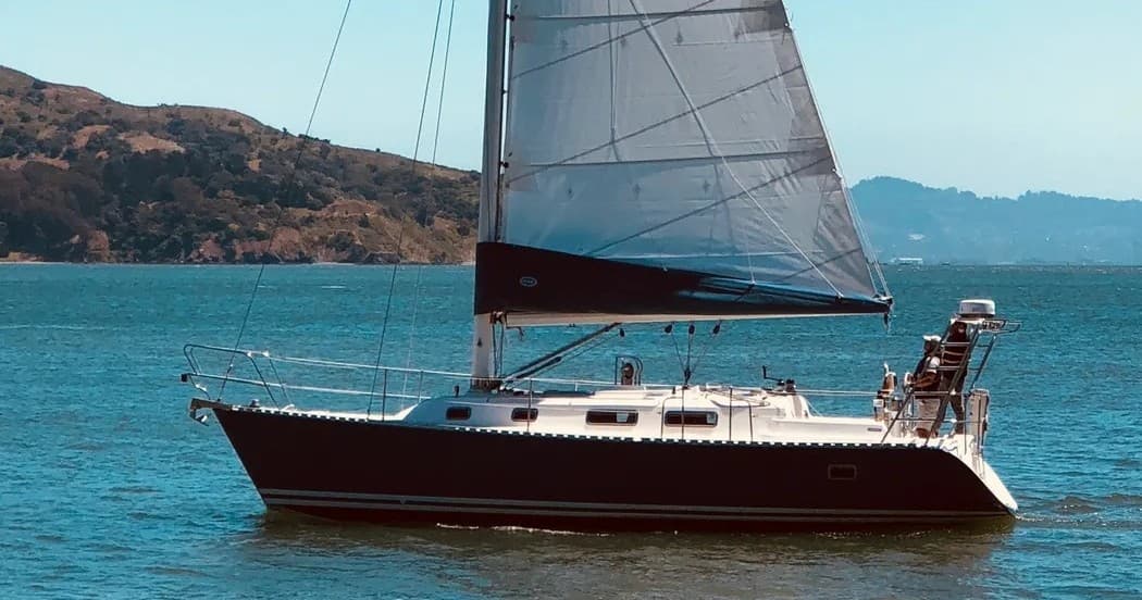 Boat Tour in Belvedere Tiburon, California