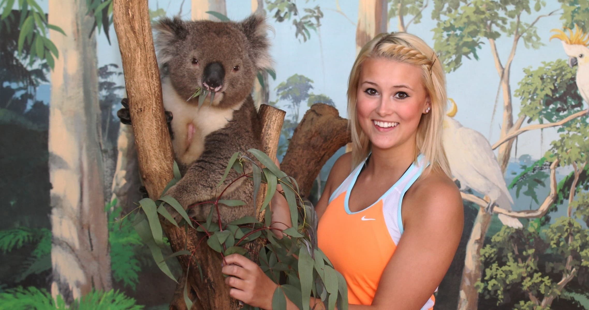 Wildlife & Animal Encounters at Maru Koala and Animal Park