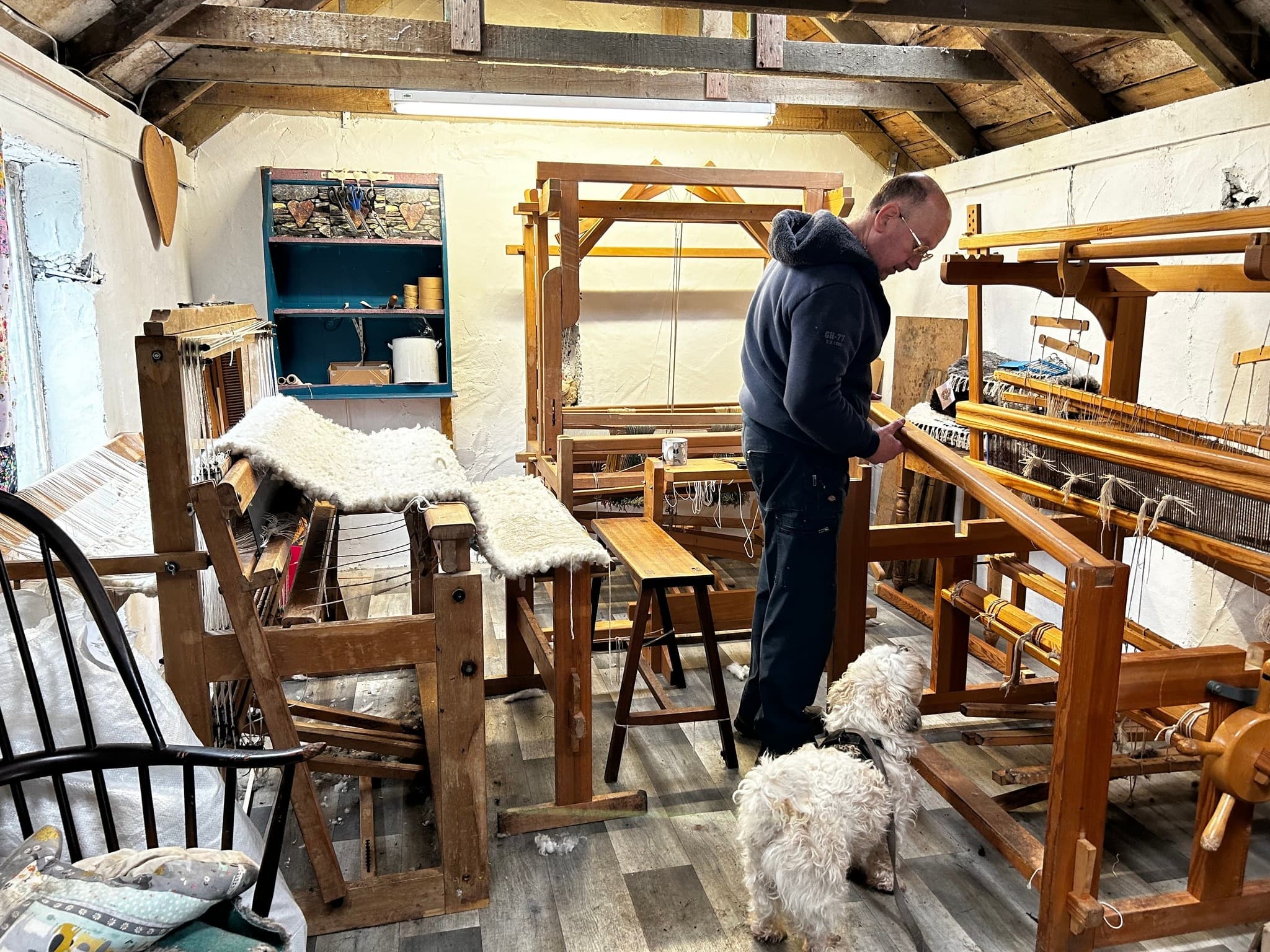 Weaver operating wooden loom in rustic studio with dog companion
