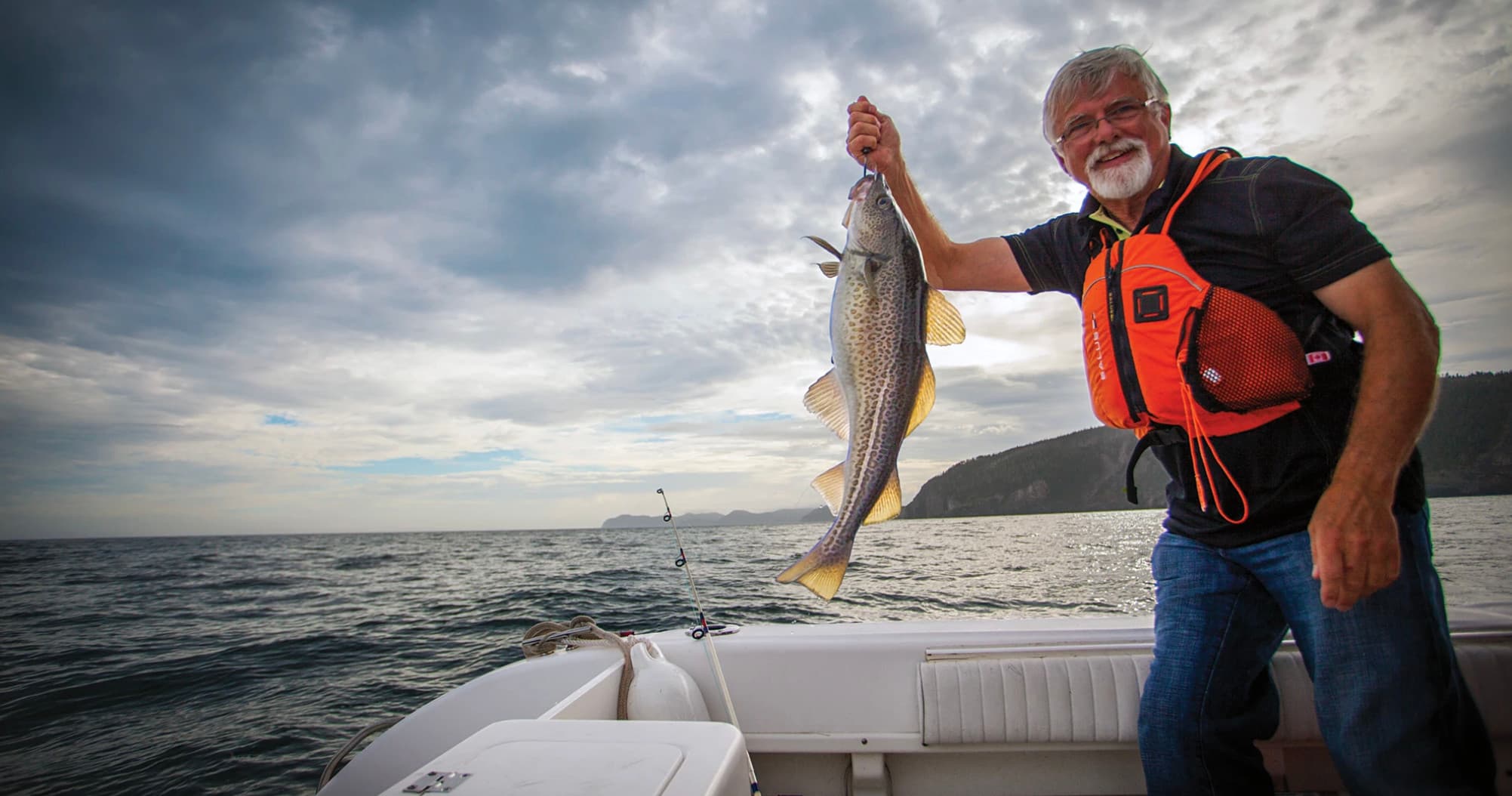 Cod Fishing & Whale Watching with QV Charters in Quidi Vidi