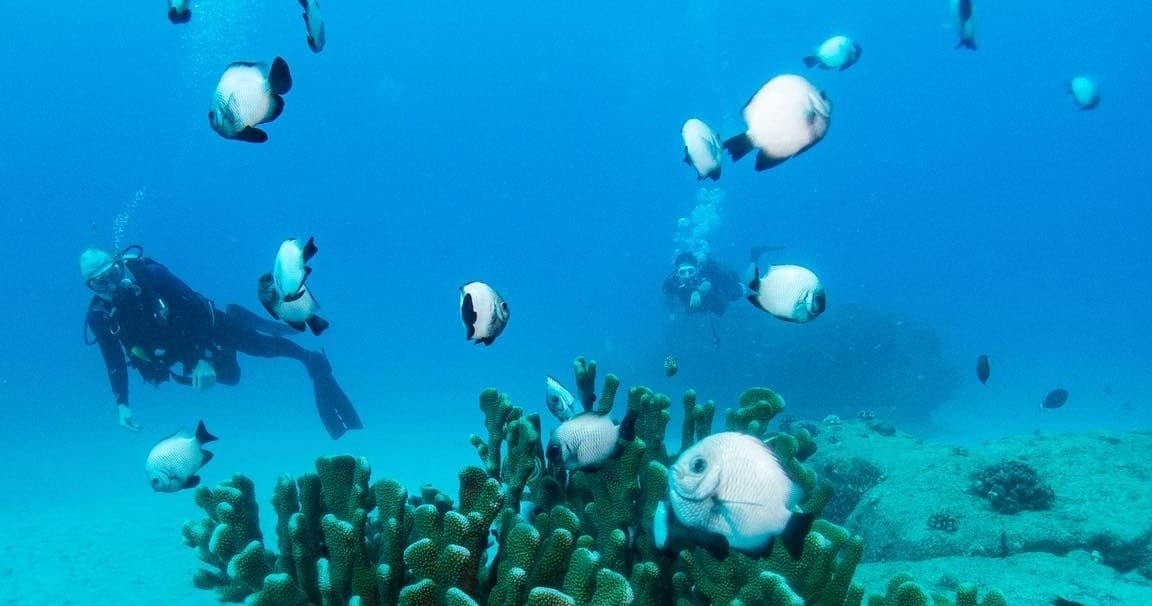 Koloa Landing Shore Dive with Fathom Five Divers