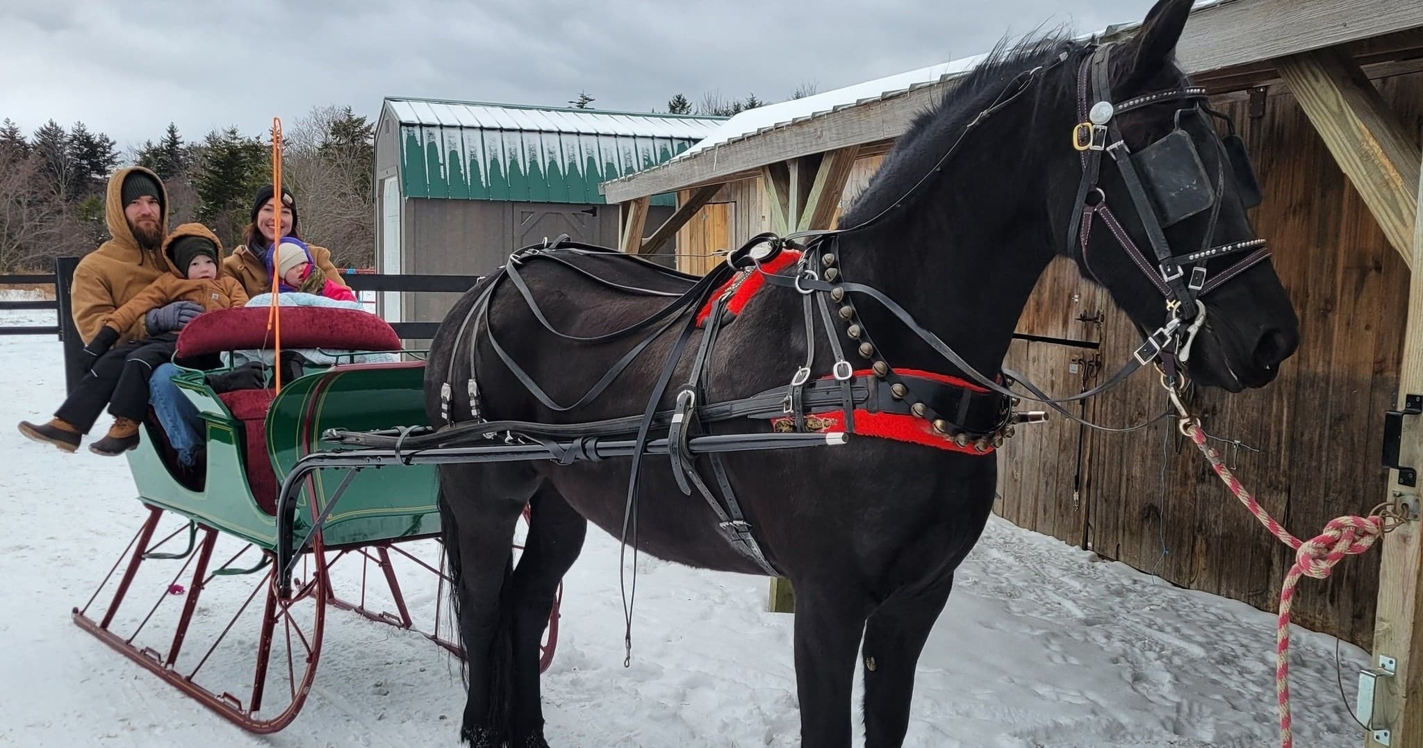 Winter Sleigh Rides with New & Gauley River Adventures