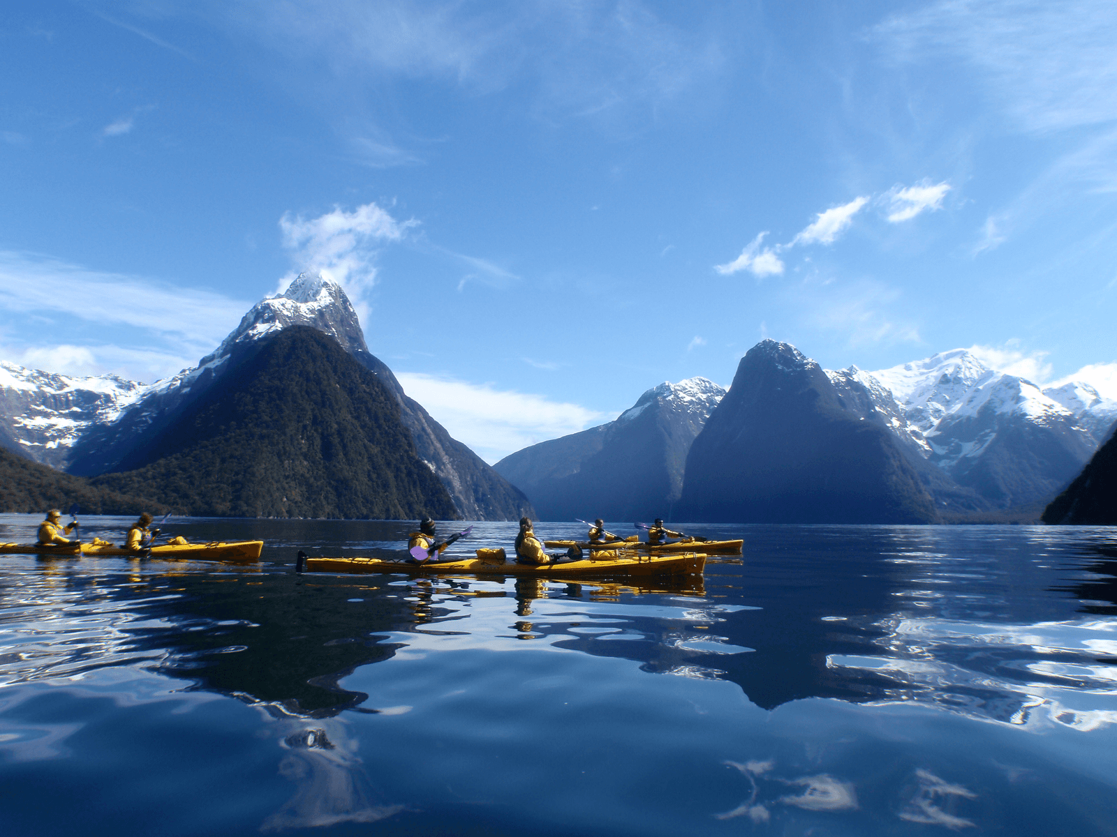 Explore Milford Sound’s Sunriser Classic: A 5-Hour Kayaking Tour Through Fiordland’s Pristine Wilderness