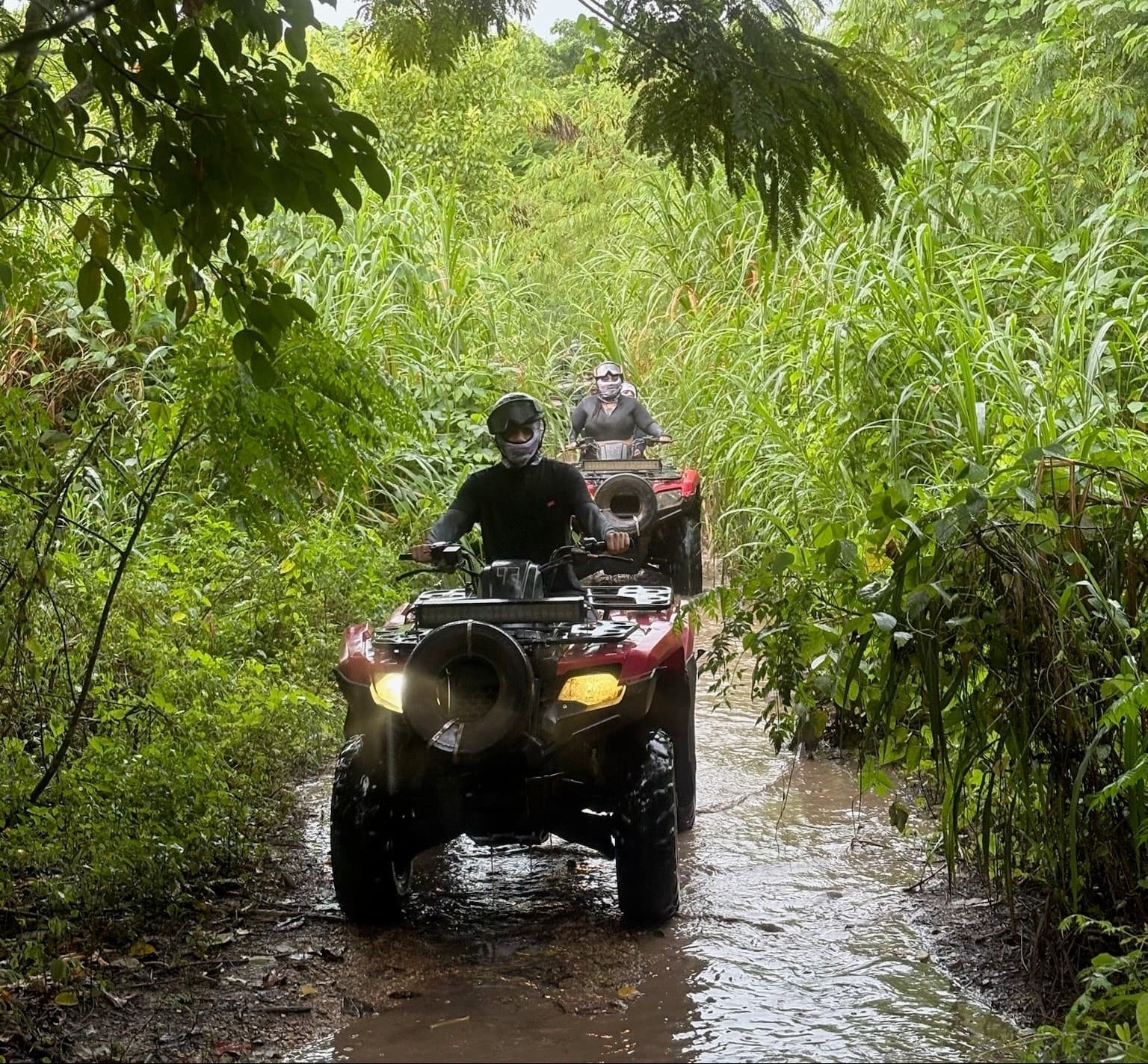Miami ATV Tour: 1-Hour Guided Mud Trails, Sunflowers & Night Glow photo 1