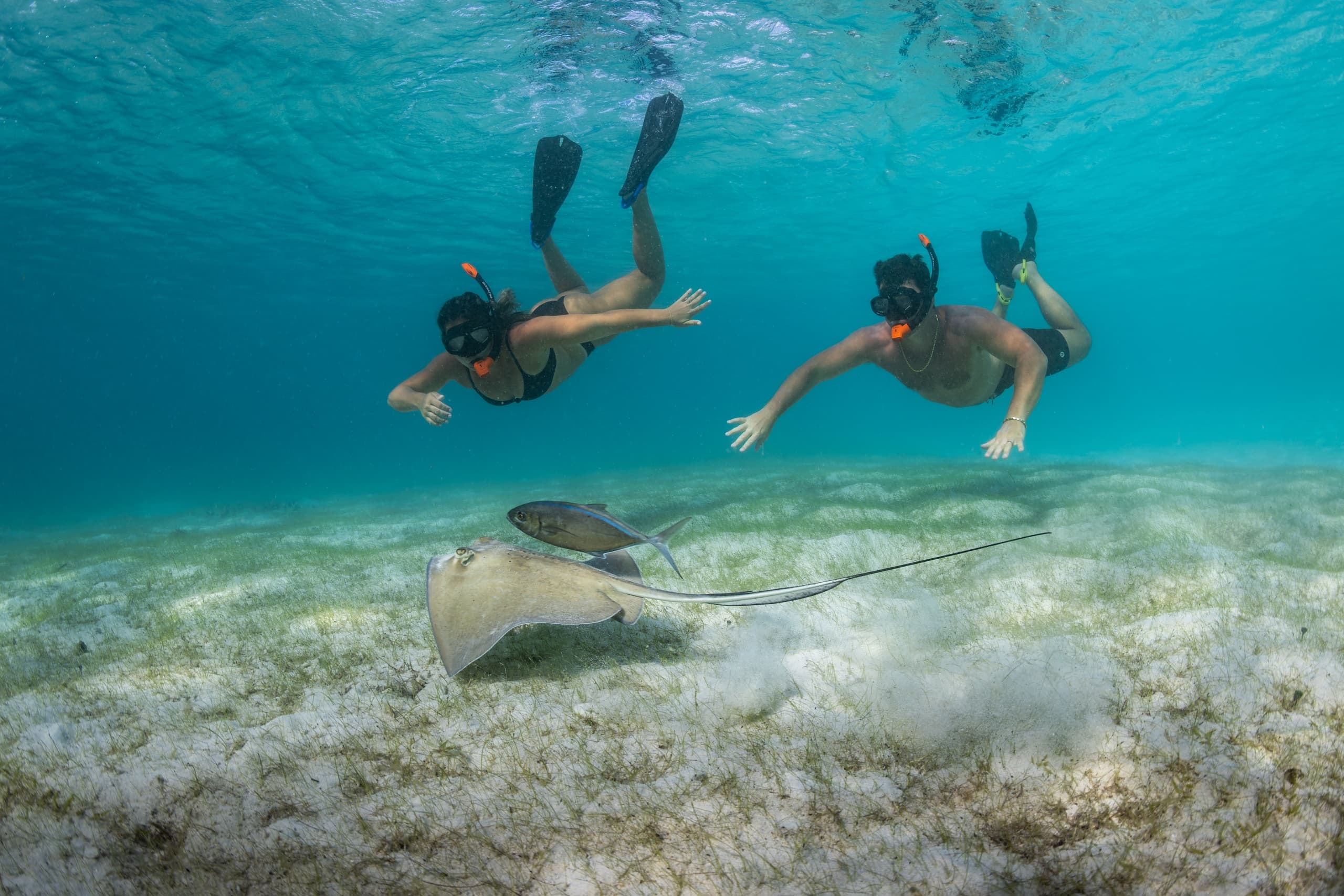 USVI Full-Day Private Charter on 32' World Cat for Island Hopping & Snorkeling photo 3