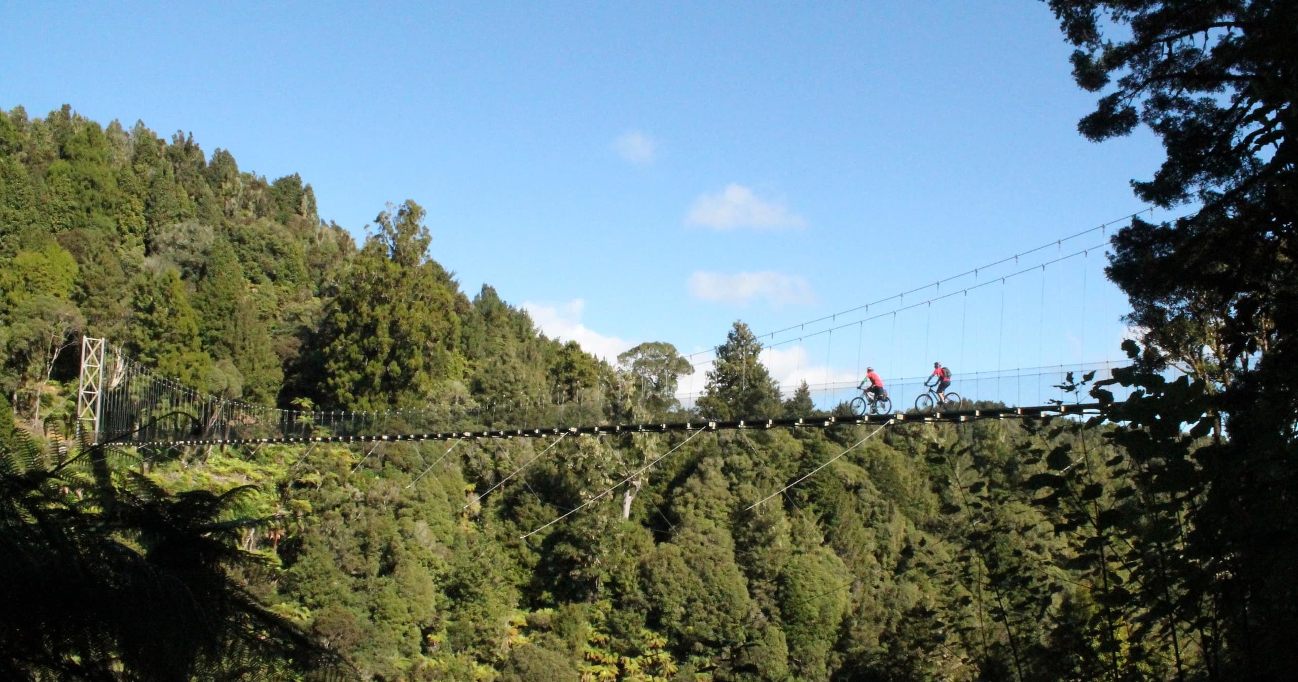Timber Trail Lodge Shuttle: Ongarue to Piropiro Cycling Trip