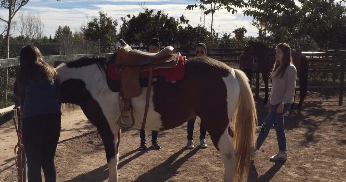 Horseback Riding Adventures with Valencia Adventure in Vilamarxant