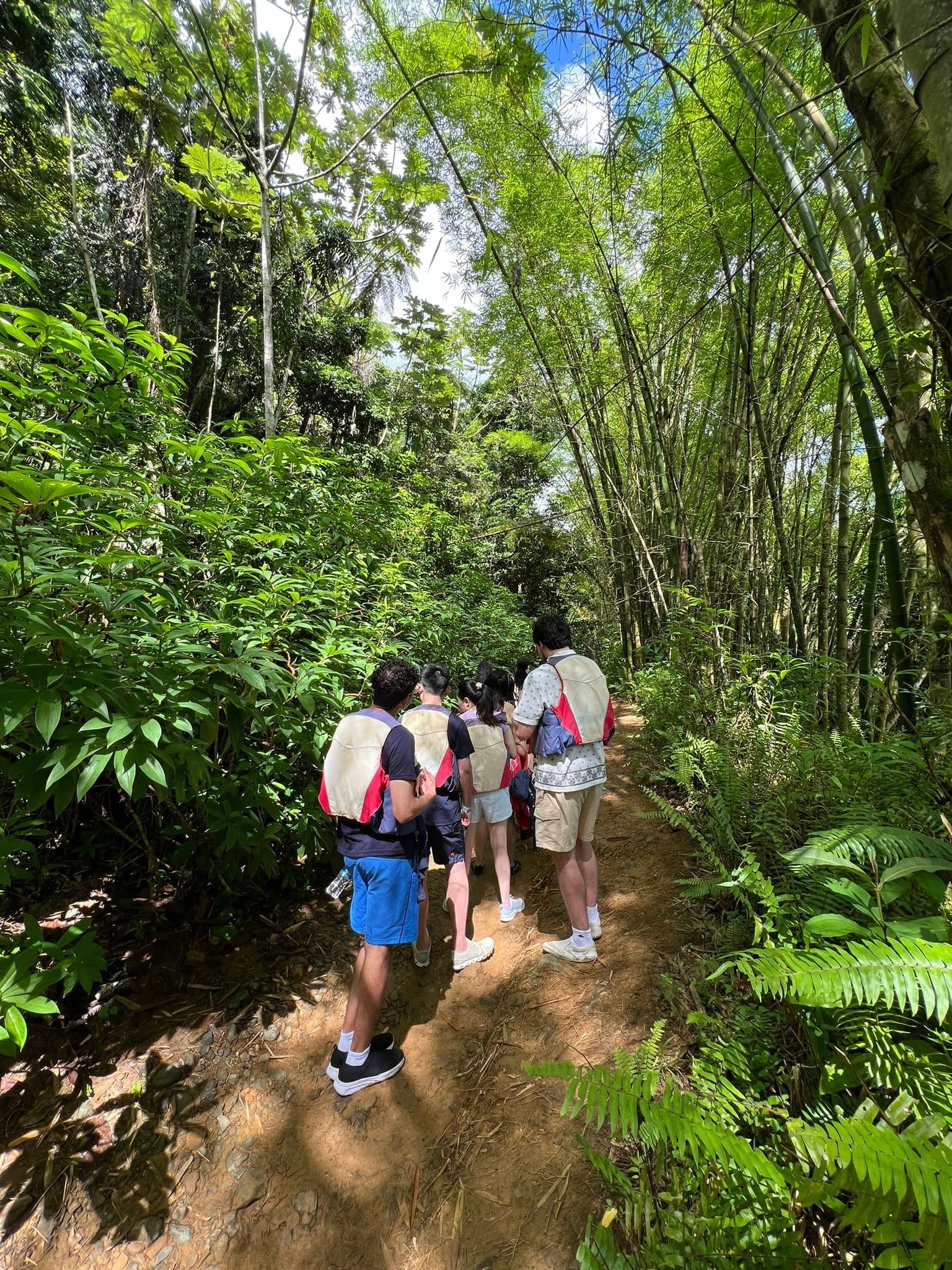 El Yunque Adventure Tour by I Ventures Caribbean