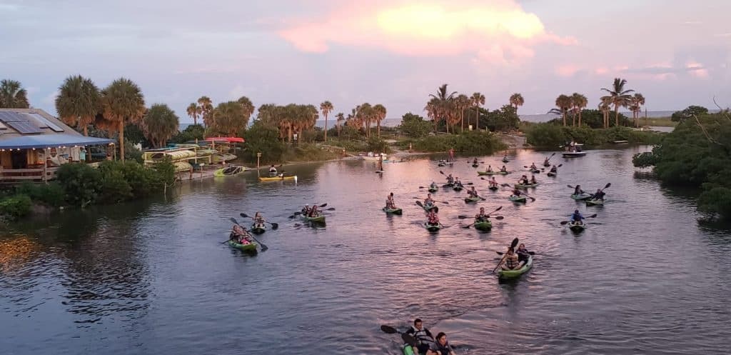 Explore Dania Beach Mangroves on a Guided ECO Kayak Tour