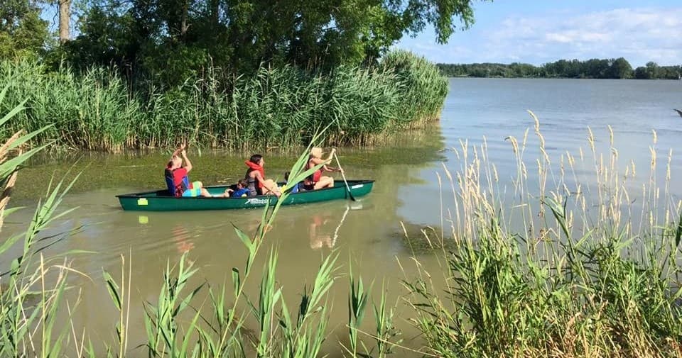 Three people canoeing near reeds on a sunny Portage River inlet