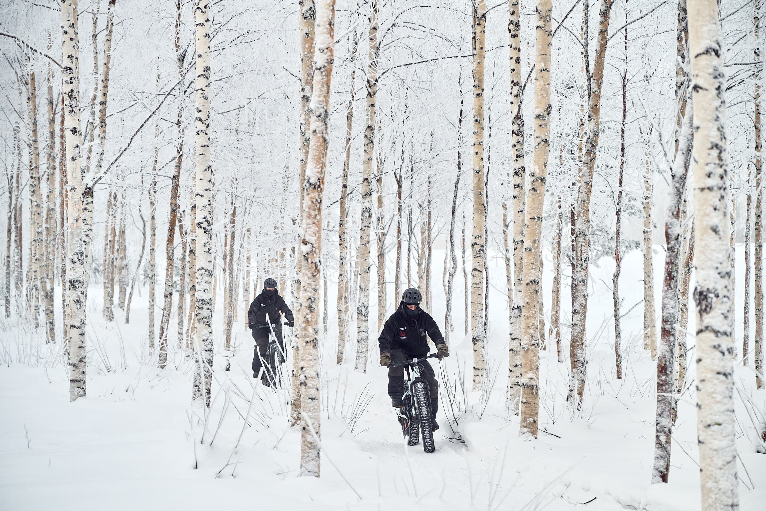 Electric Fatbiking Around Ylitornio: Arctic Trails and Aurora Rides in Lappi