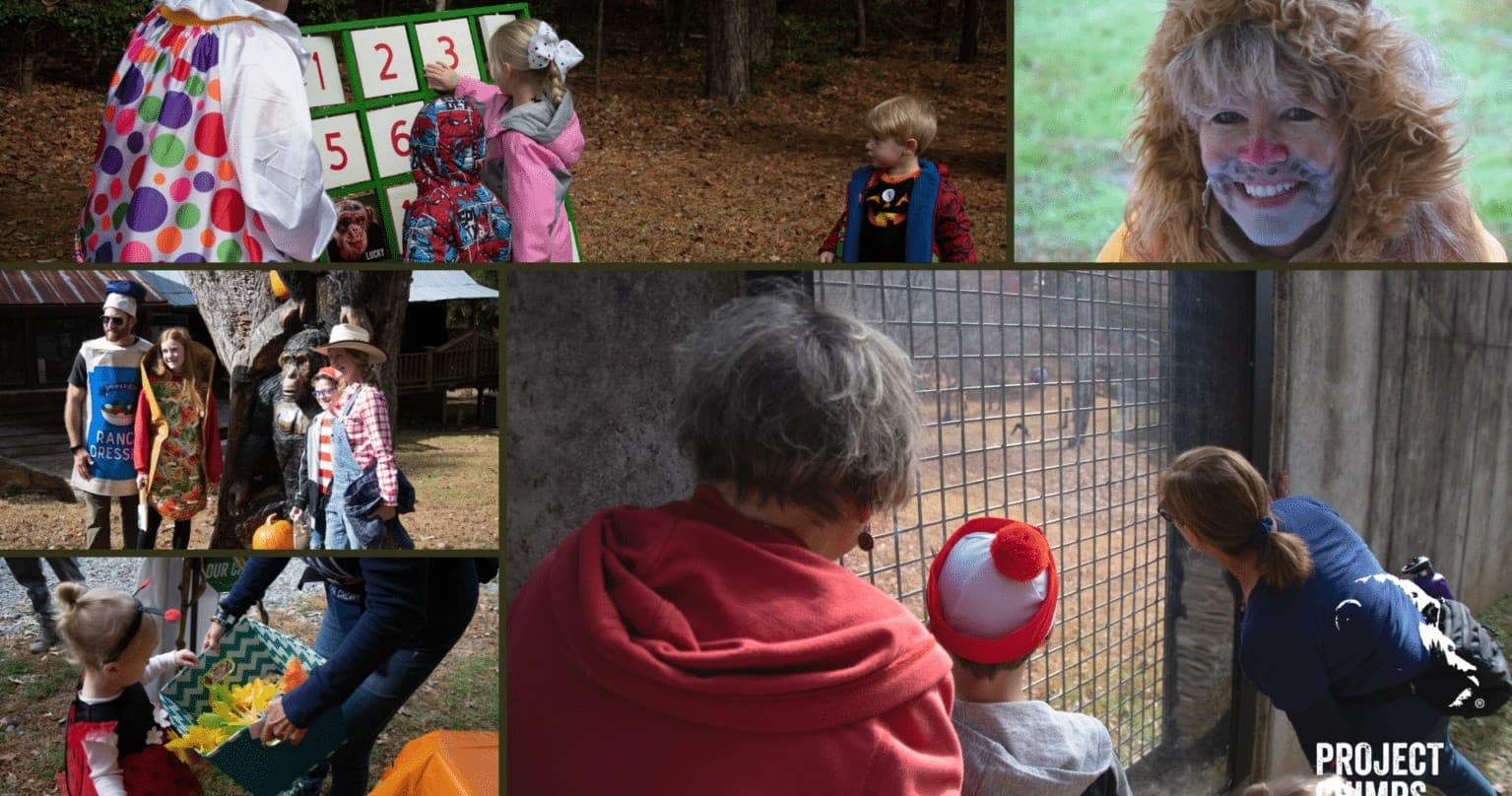 Chimp or Treat: Family Halloween Tours at the Sanctuary in Morganton, GA