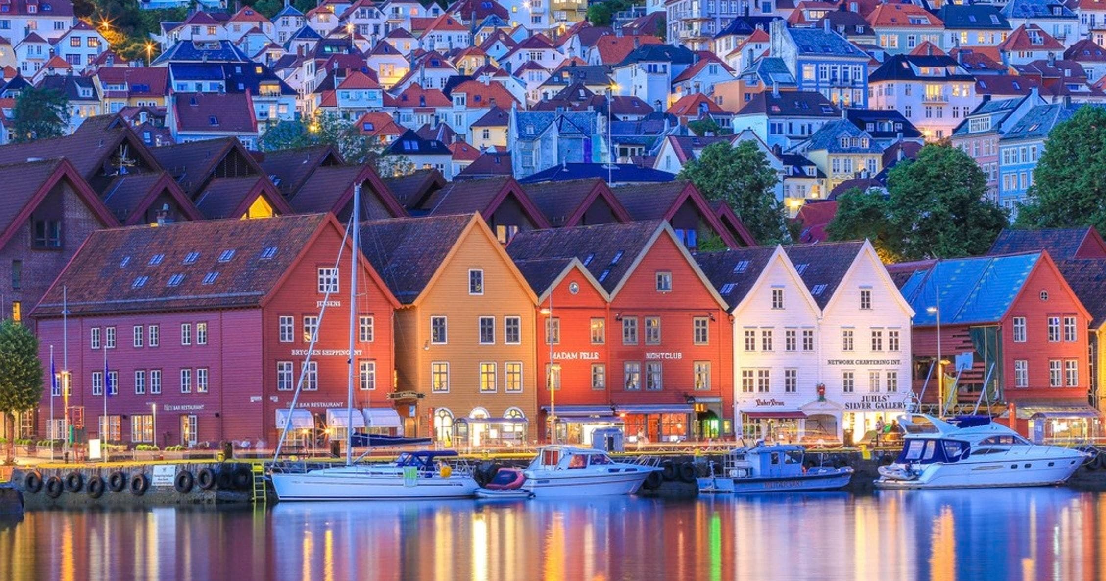 Private Day Tour Bergen City Sightseeing w/Guide photo 1