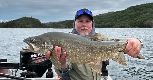 Angler holding large lake trout on boat during freshwater fishing