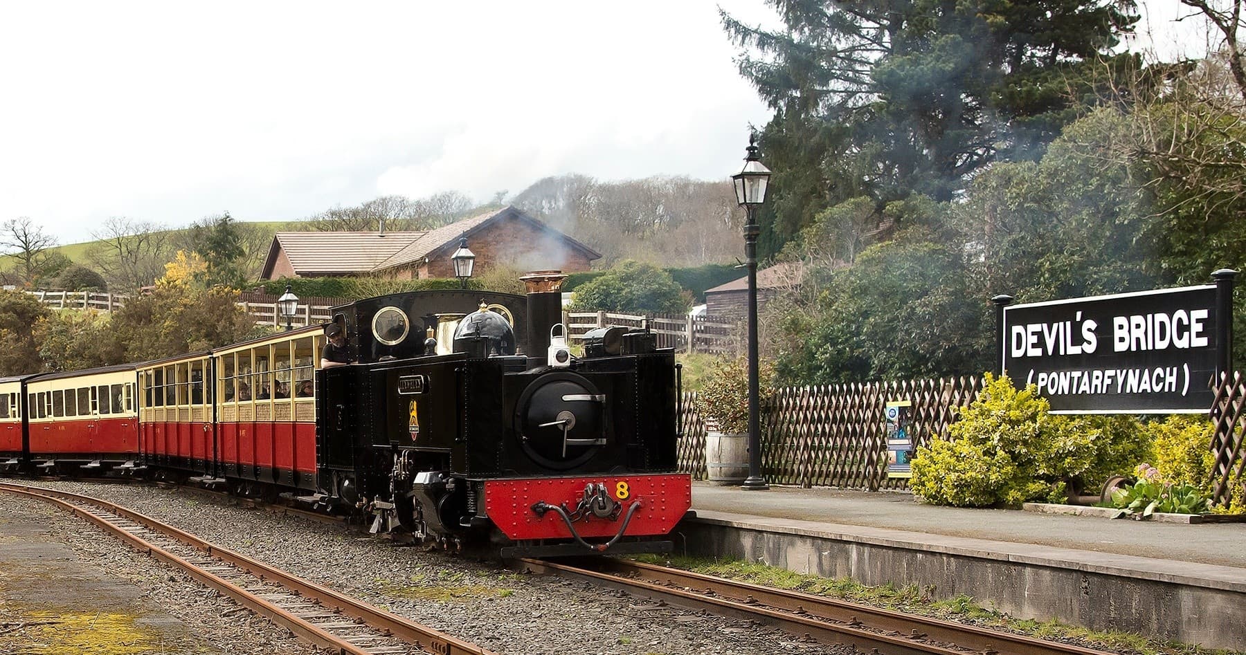 Ride the Historic Vale of Rheidol Railway from Devil's Bridge to Aberystwyth