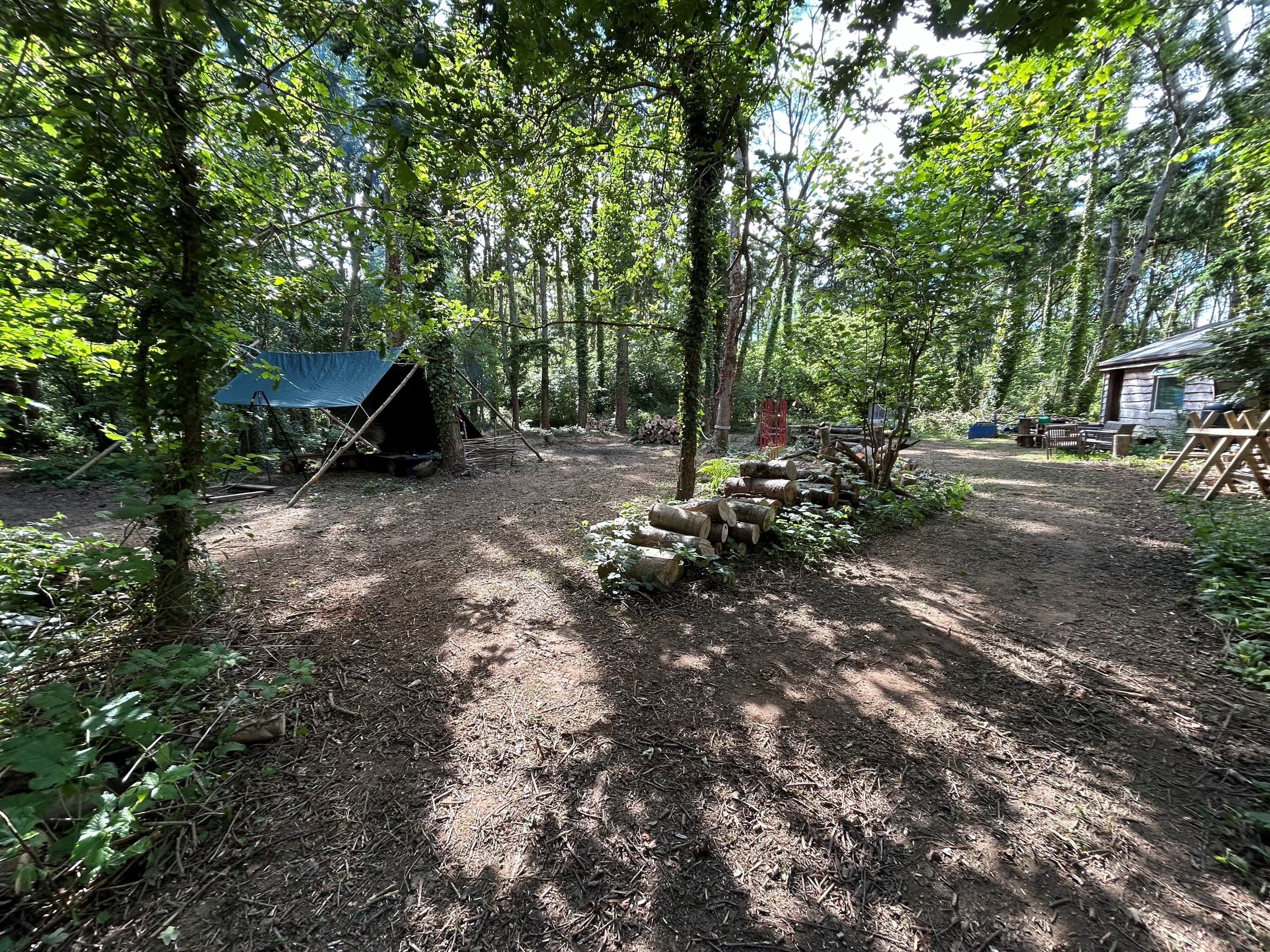 Bushcraft Taster Near Freshwater Bay - 2.5-Hour Woodland Skills Session