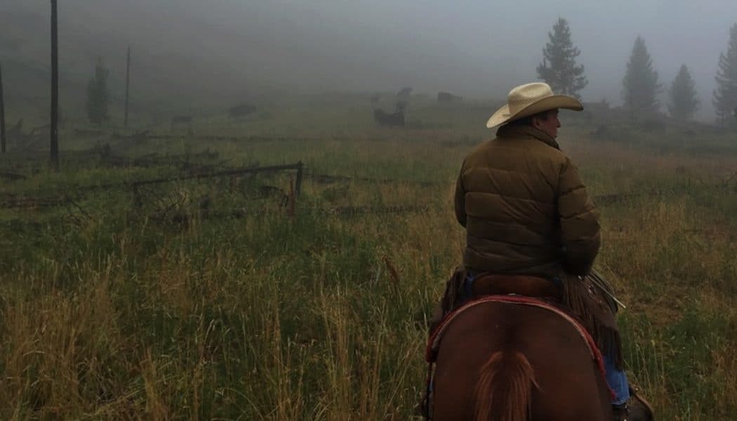 Cowboy riding horse through foggy meadow at dawn