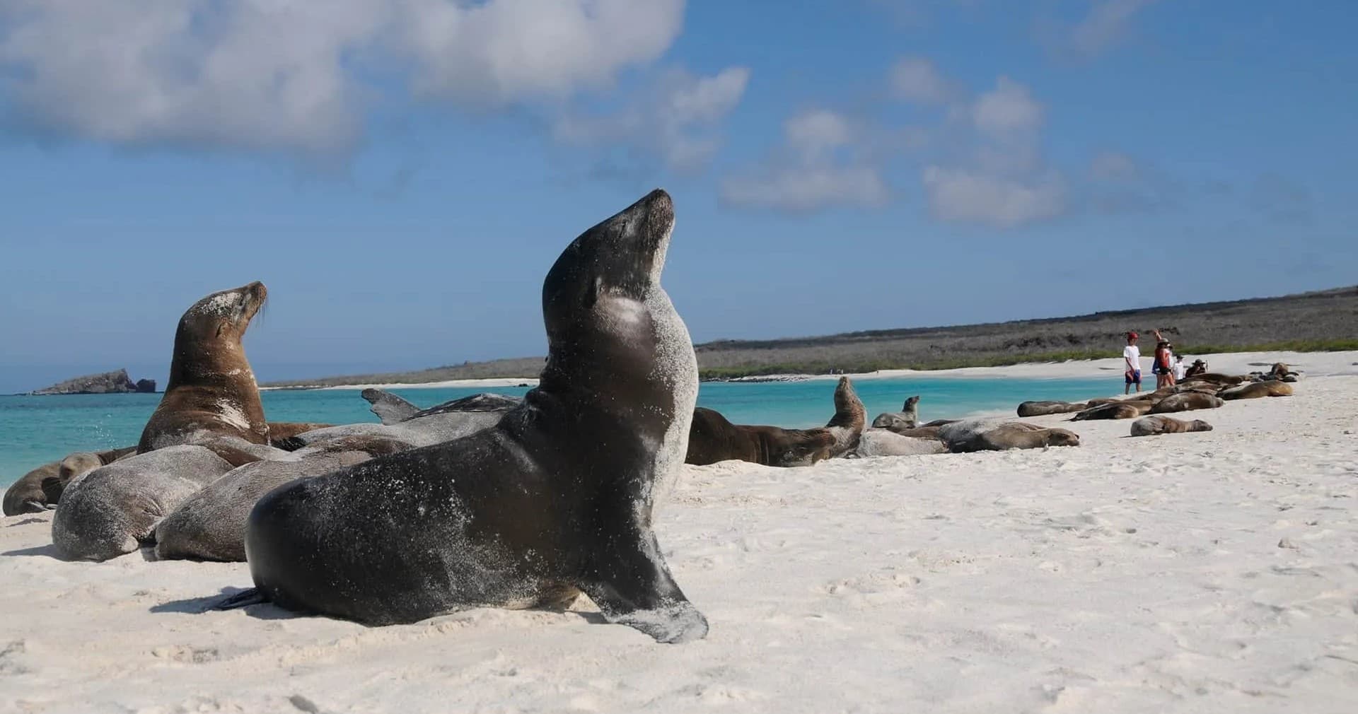 Island Hopping the Galapagos: 5-Day Wildlife, Volcano & Snorkel Adventure photo 1