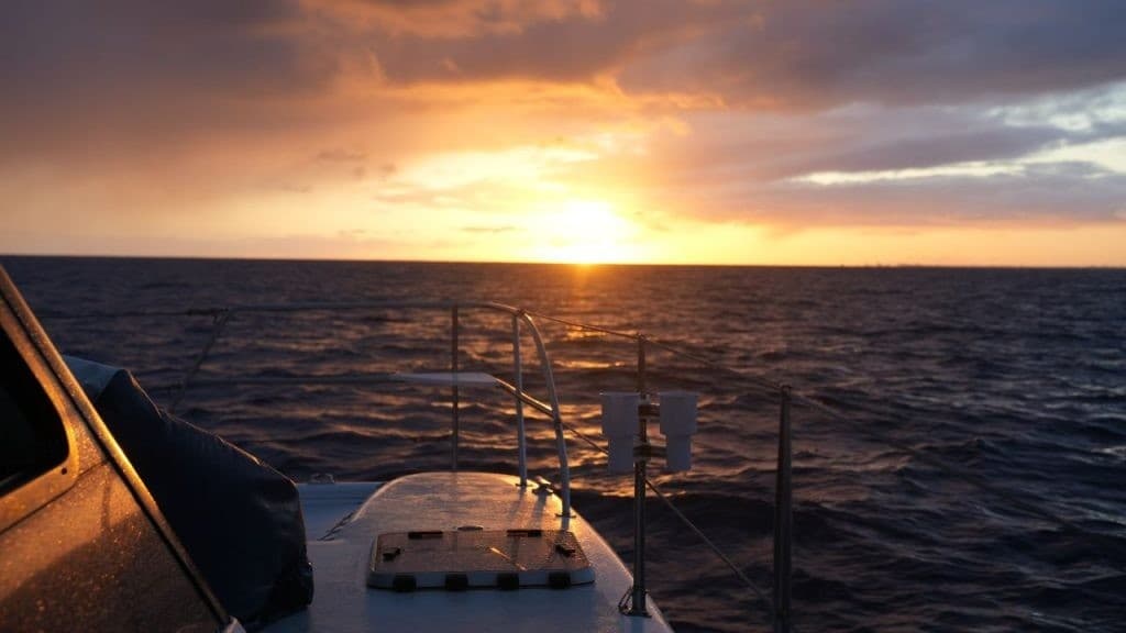 Panama City Sunset Cruise: Small-Boat Evening Wildlife Tour