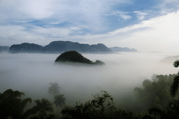 Classic Car Transfer Havana to Viñales with Nostalgic Today