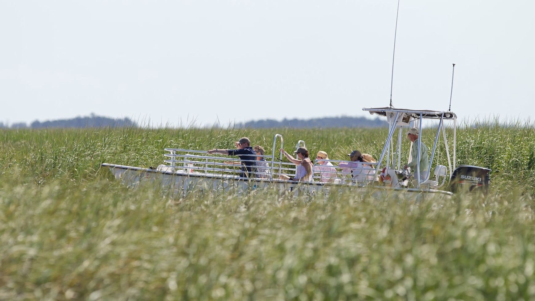 Savannah Dolphin Eco Tour: Coastal Wildlife Cruise