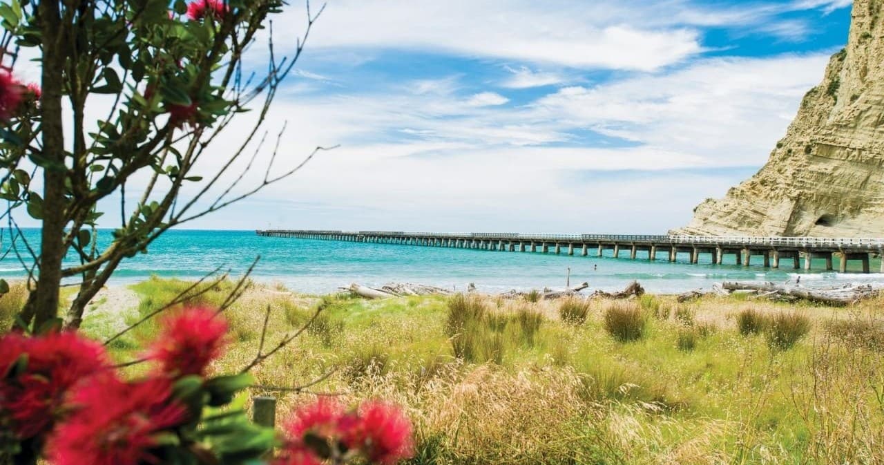Coastal pier and beach panorama with native pōhutukawa flowers