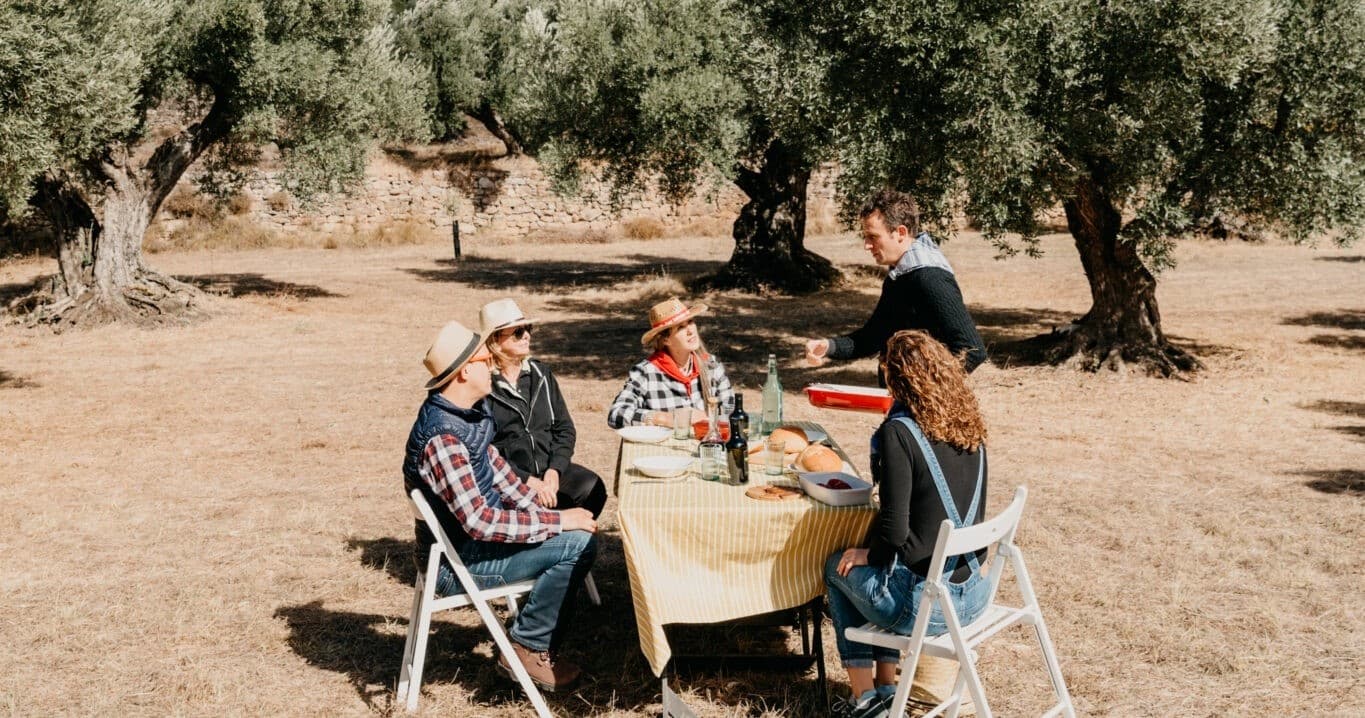Discover Ancient Olive Groves and Premium Olive Oil Tasting in Horta de Sant Joan