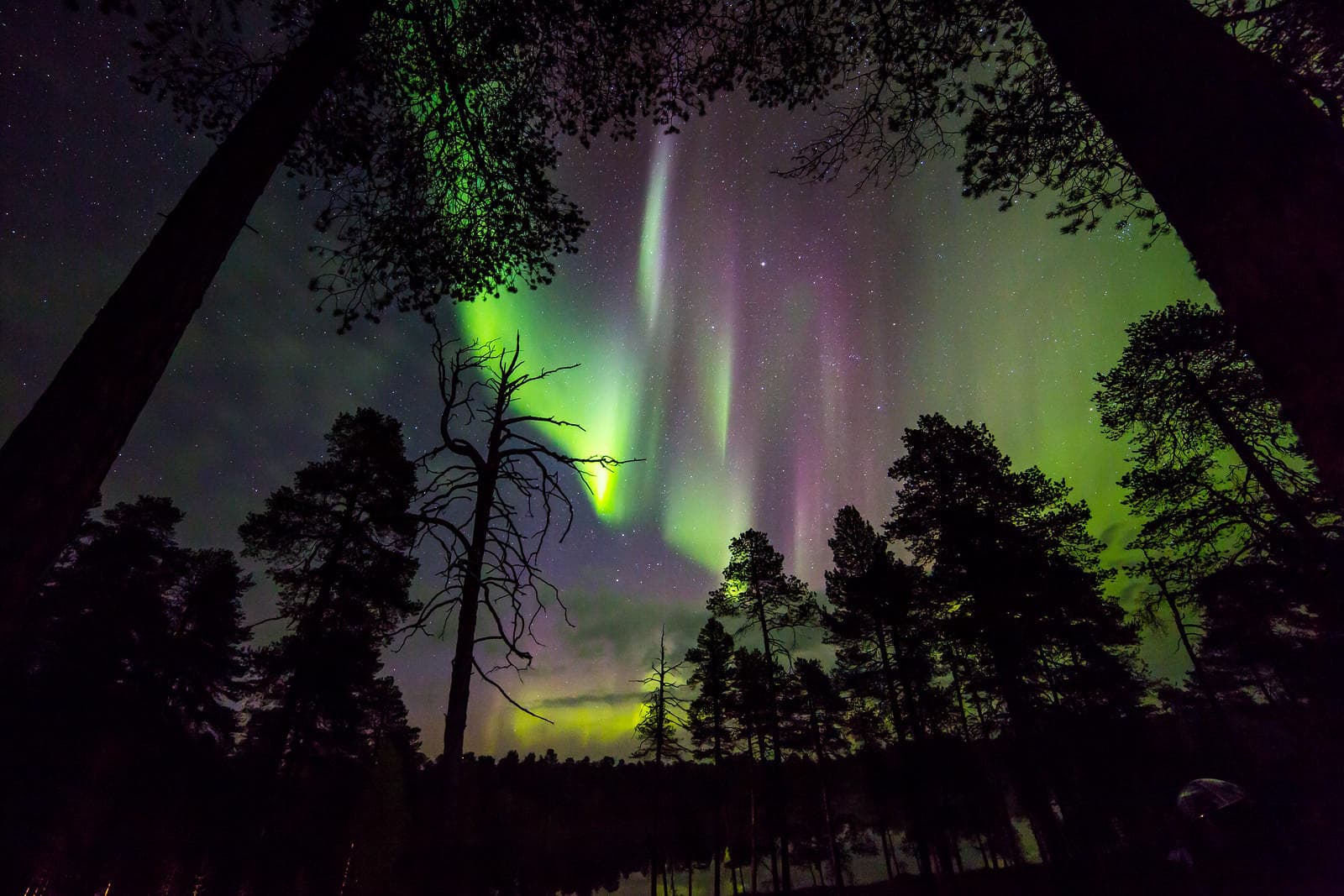 Northern Lights Adventure at Levi - Aurora Hunting Experience
