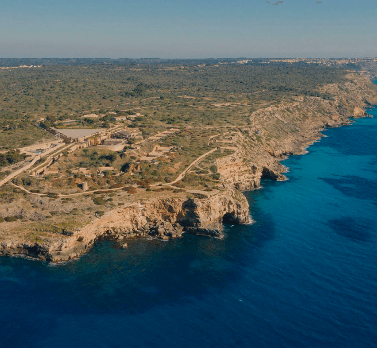 Discovery Tour Illetas: Boat Tour to Hidden Coves and Palma Views photo 2