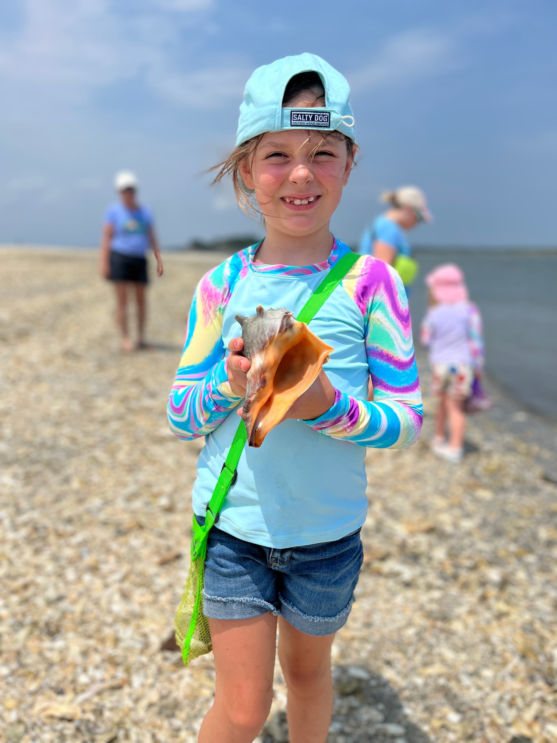 Water Activities: Dolphin Discoveries Hilton Head