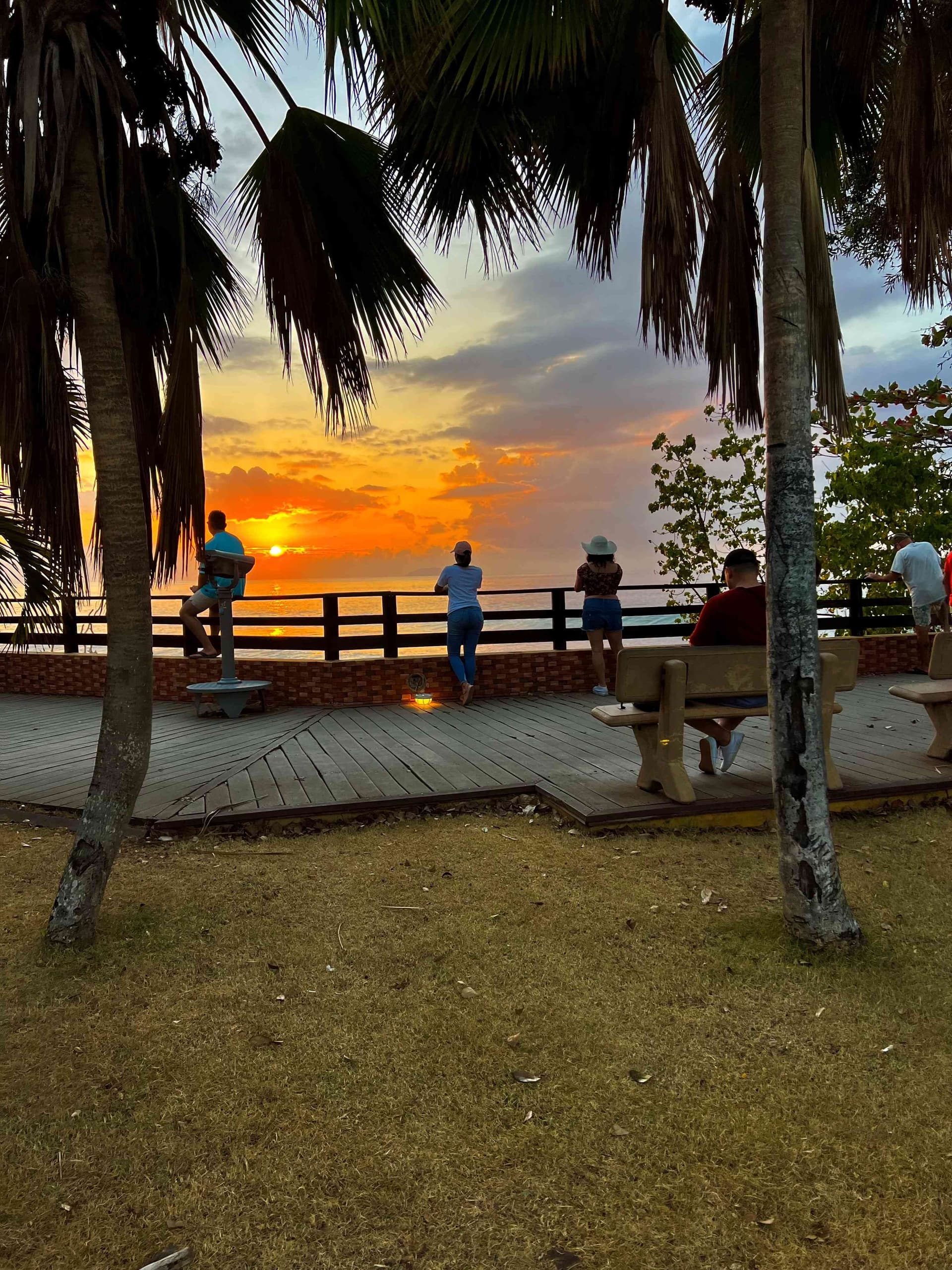 Sunset viewers under palm trees at seaside lookout, Puerto Rico coast