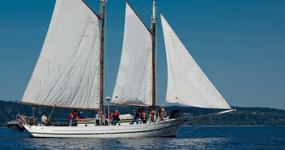 Tall schooner sailing on open water under clear blue sky