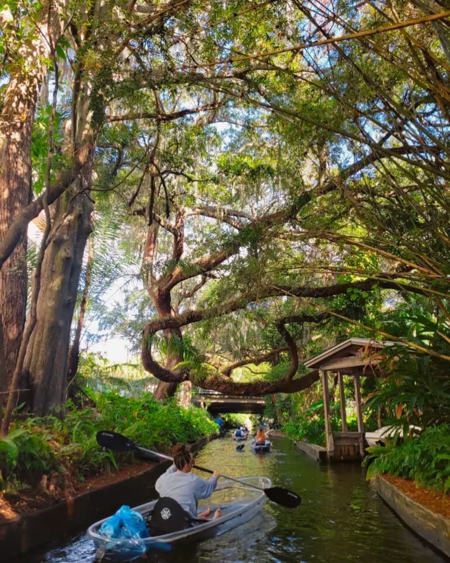 Private Winter Park Clear Kayak Tour in Florida