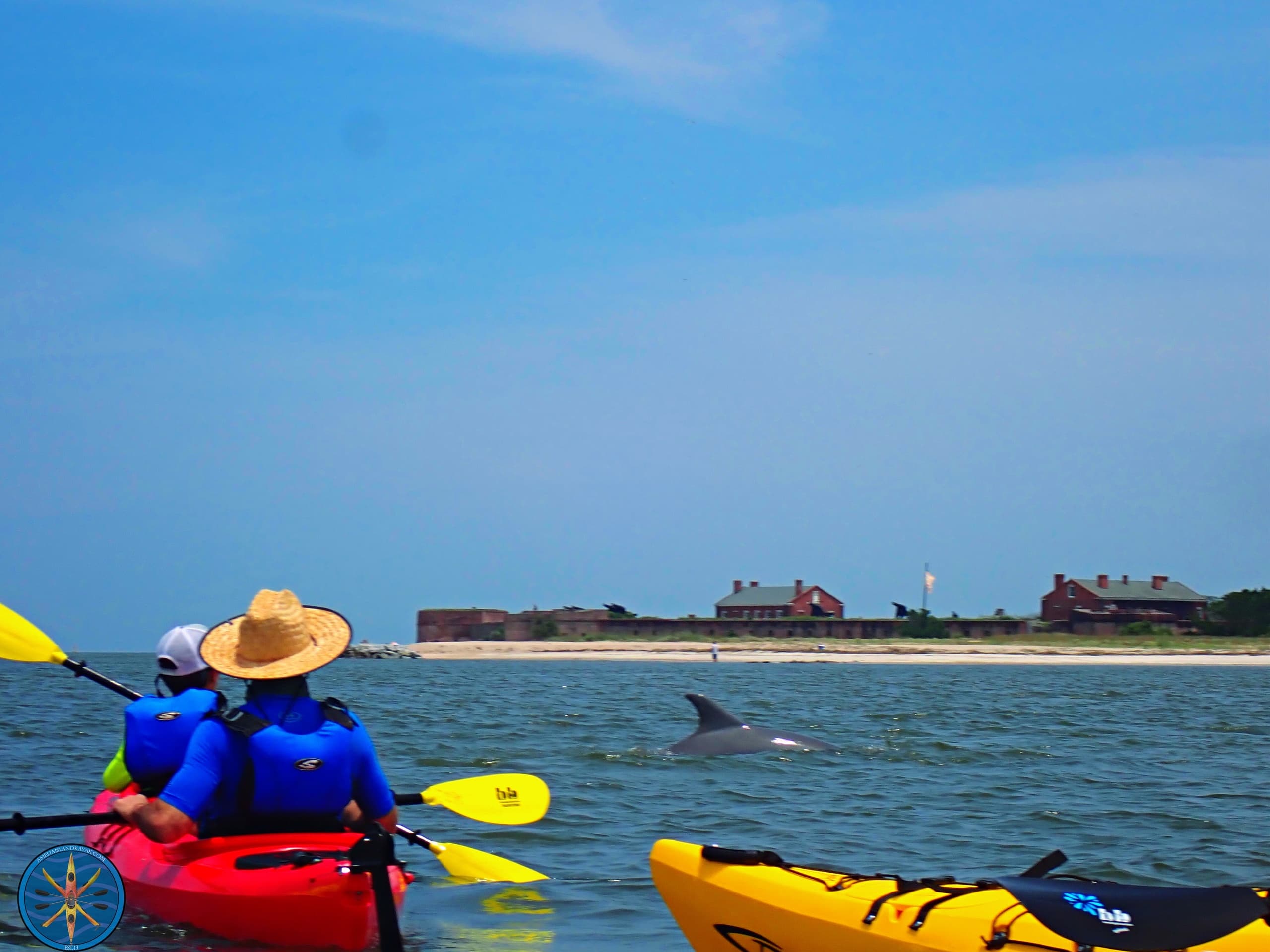 Kayakers watching dolphin near barrier island on open ocean