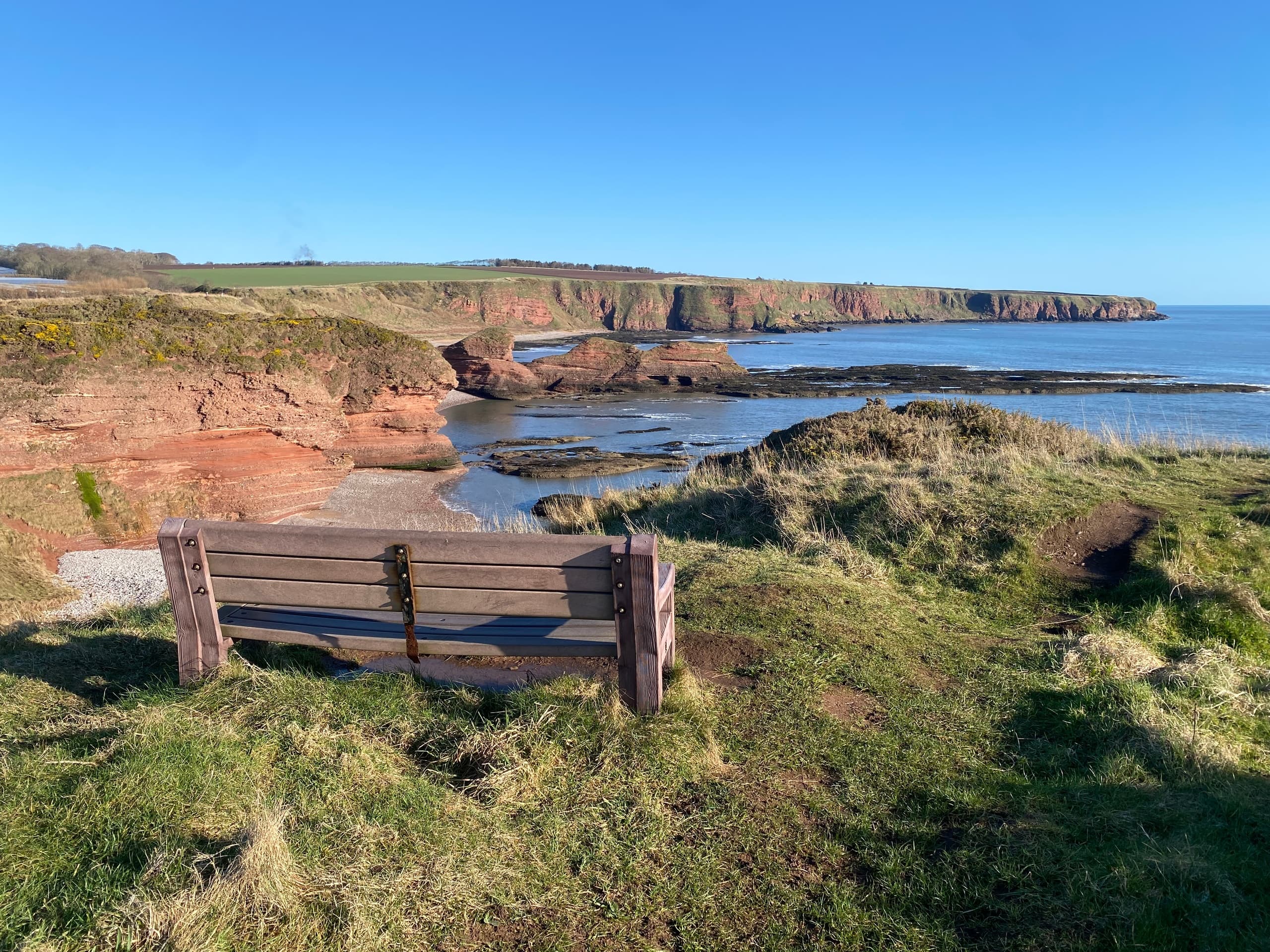 Geology and Coastline Highlights with Stories of Stone at Arbroath Cliffs