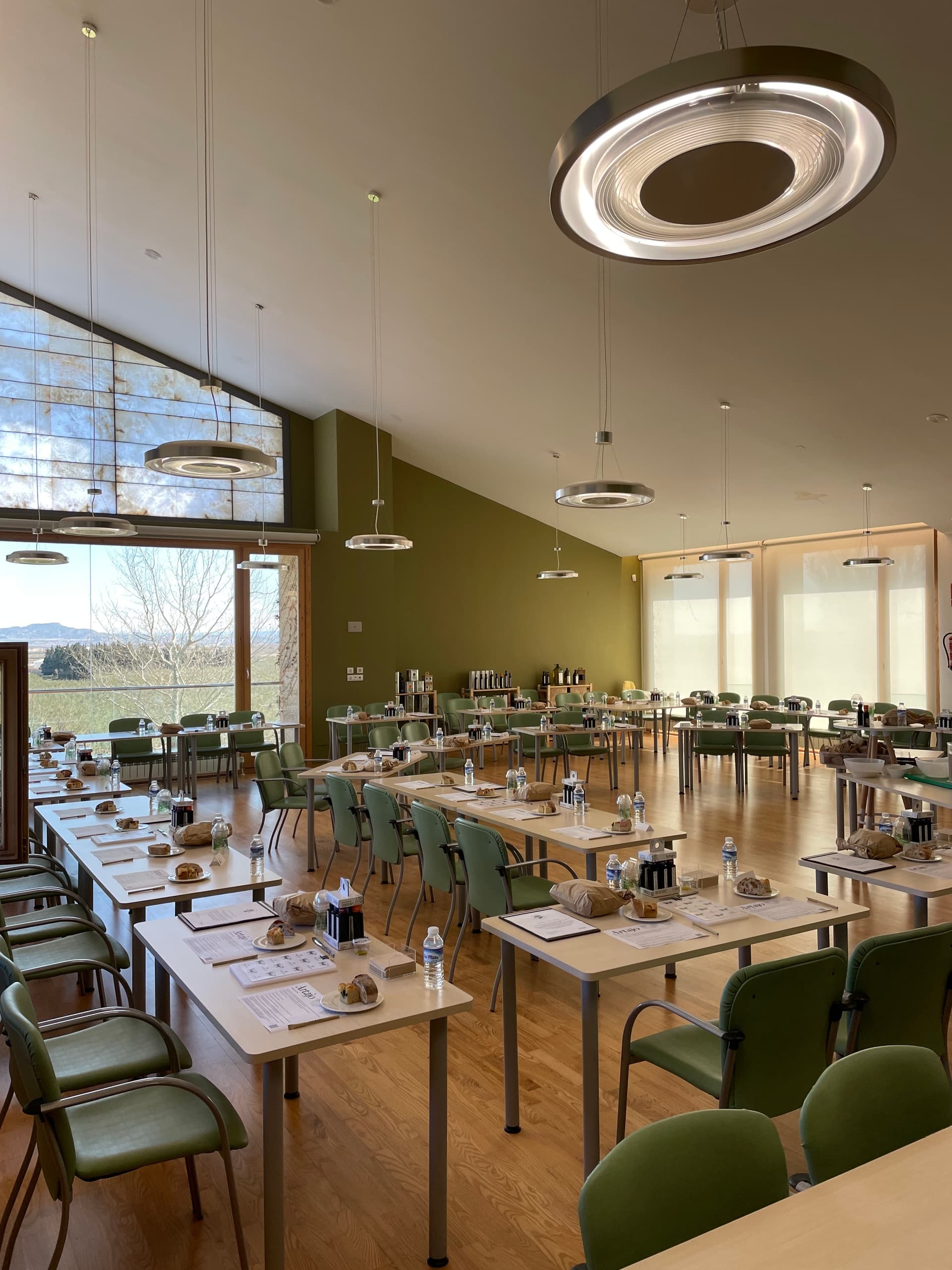 Olive Oil Tasting Adventure with Aceite Artajo in Navarra