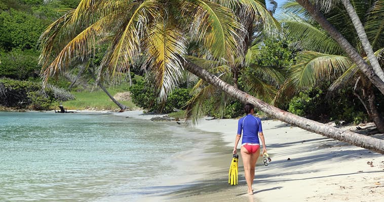 Snorkeler walking along palm-fringed Caribbean beach with fins