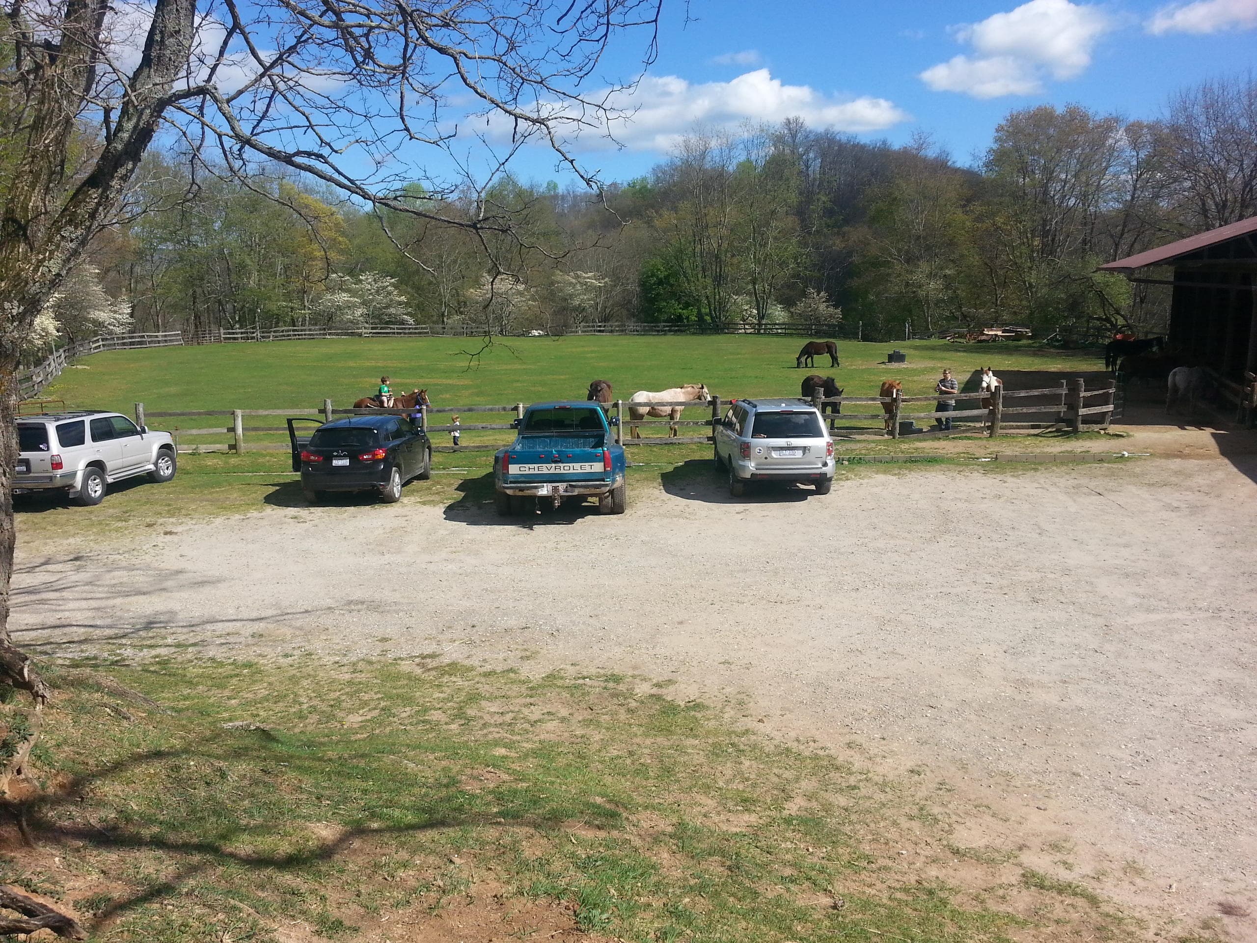 Family-Friendly Horseback Adventures on a Scenic North Carolina Farm