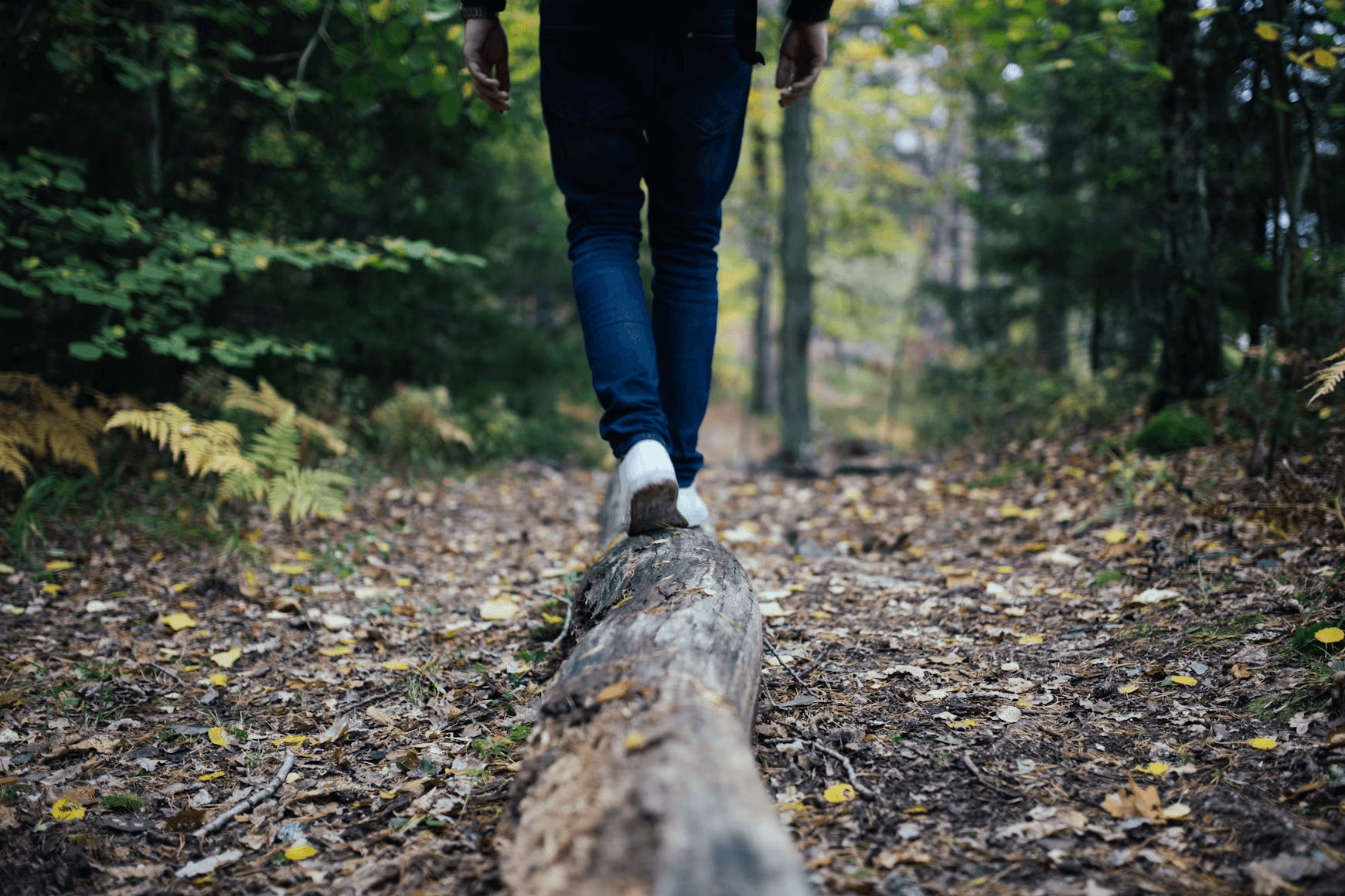 Person balancing on log over forest floor during hike