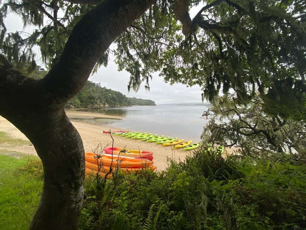 Paddle Heart's Desire Beach: Guided Kayak Tours on Tomales Bay