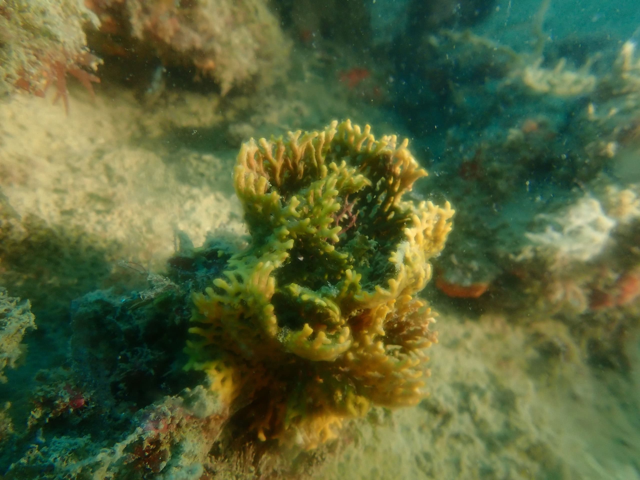 Water Activities & Nautic Parc Costa Daurada I Terres De L’Ebre: Dive into Xiclets