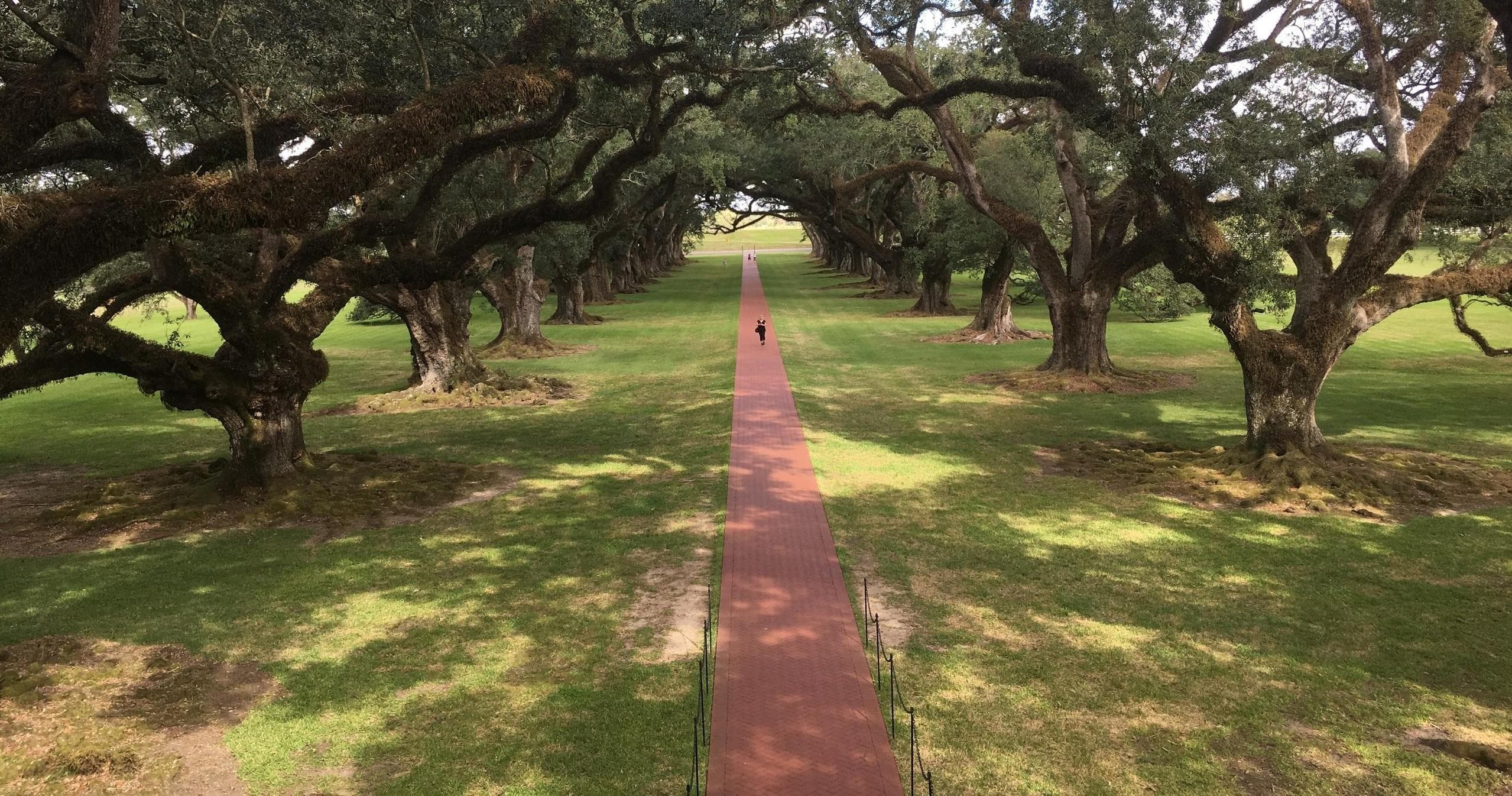 Discover Oak Alley Plantation and Louisiana Swamps: A Day of History and Nature