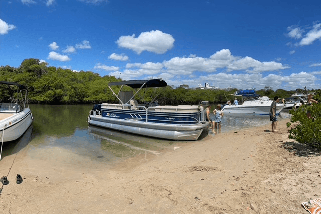 Pontoon boat beached on sandy inlet with mangroves, coastal tour
