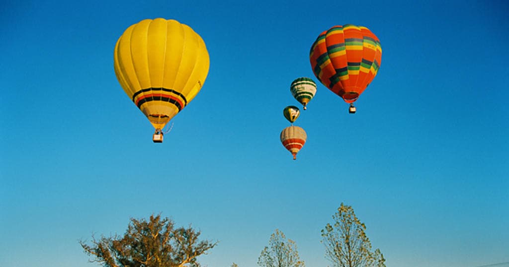 Melbourne Photography Course for Beginners | Tricolour Lab
