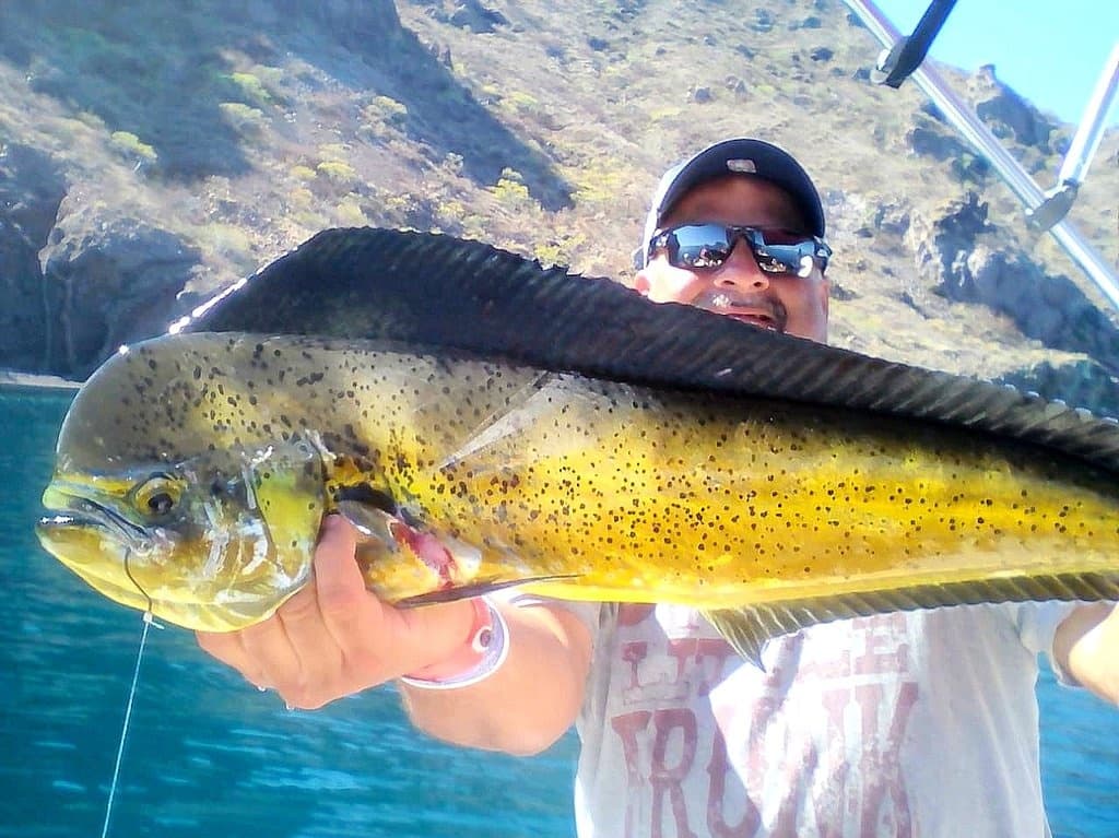 Angler holding large dorado fish on sportfishing trip