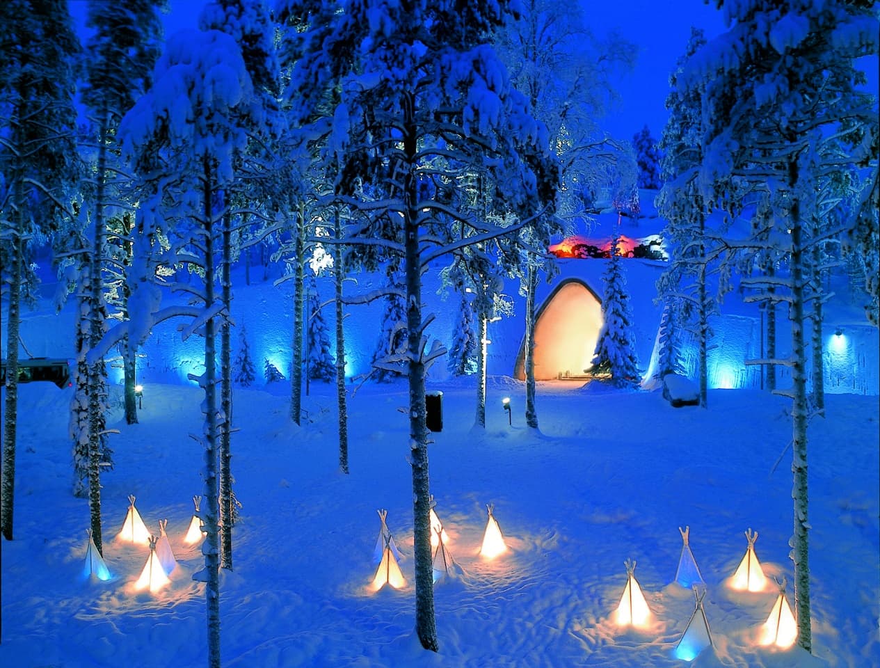 Snow-covered forest with glowing tents in Arctic winter