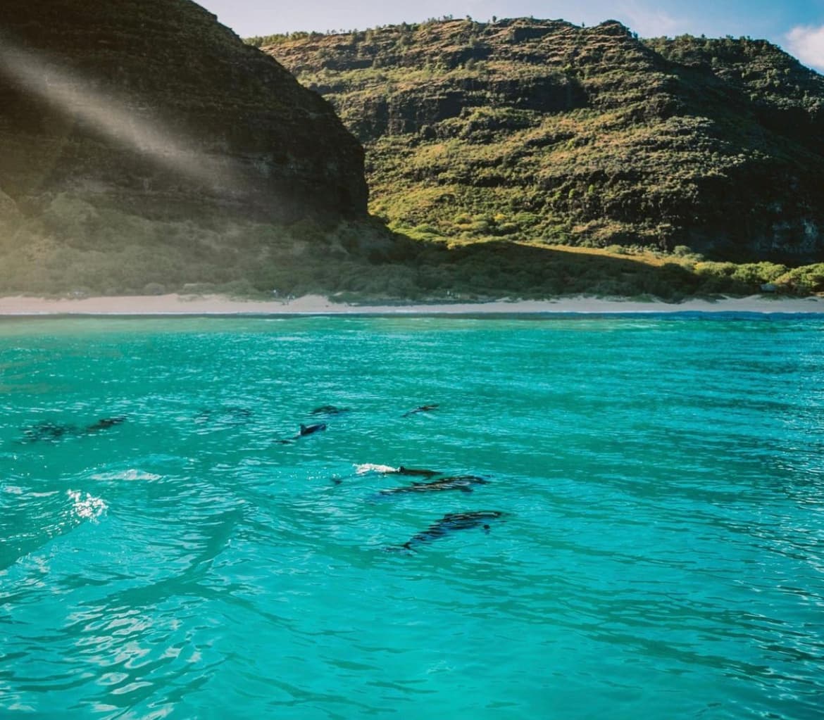 Private Snorkel & Sightseeing Tour with Komohana Charters in Kekaha