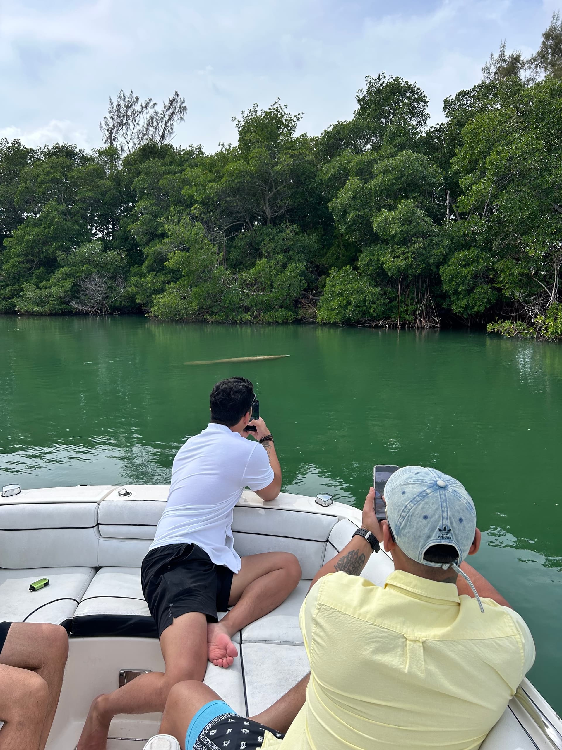 Explore Miami's Wildlife on an Eco-Friendly Boat Tour